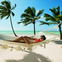 Отзыв от Екатерина - DTV виза